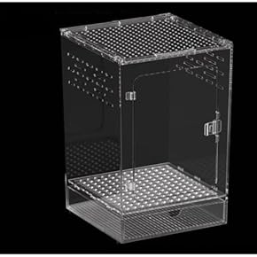 爬虫類・両生類用ケース・水槽 - Amazon.co.jp